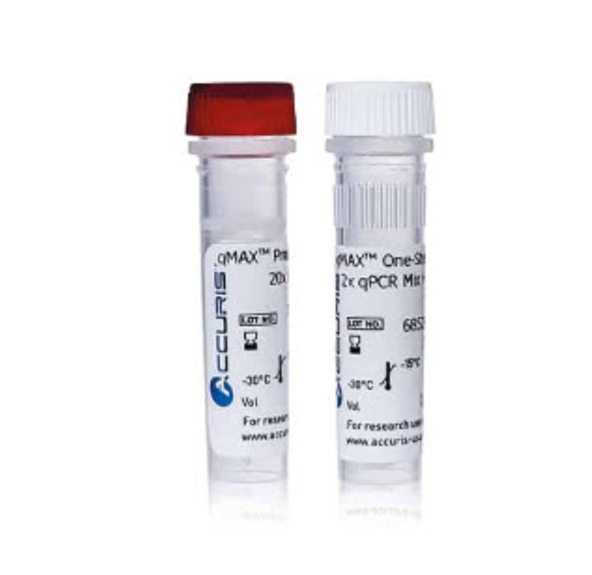 Accuris SmartCheck™ 100bp DNA Ladder, 5 x 500ul / 500 lanes
