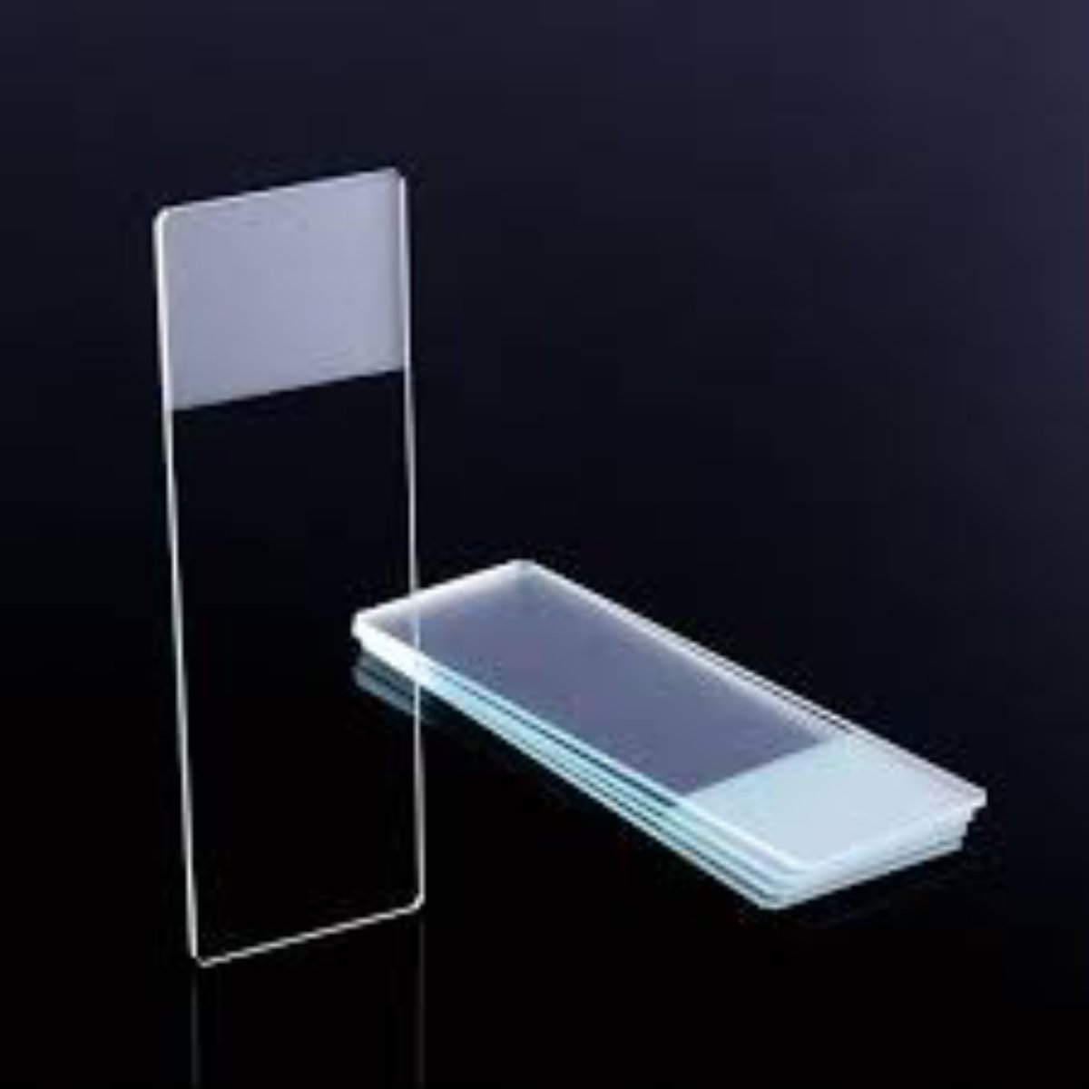 Microscope slides1inx3in glass slides, single frosted end, autoclavable, ground edge, CS3600