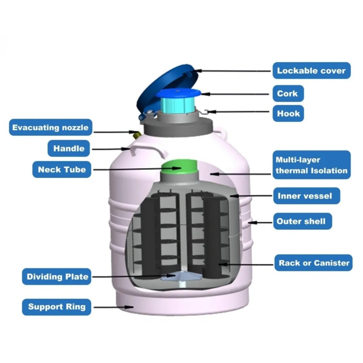 liquid nitrogen tank,portable dewar series 10l,neck diameter 50mm