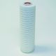10-inch 0.2 micron absolute filter for CLiR 3000 High Purity Water System