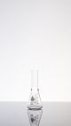 DeLong Flask Only,25mL