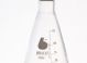 Screw Cap Grad Erlenmeyer Flask ,250mL With 38mm Cap