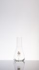Shake Flask W/3 Baffles,250mL 38mm Delong Neck
