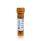 SmartGlow  Safe Green Pre Stain, 1.0ml, EA /1