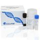 ssDNA Quantification Kit, 100 Assays
