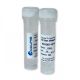 Accuris Taq Master Mix Red Dye, 2X conc., 200 reactions