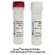 Accuris Fast Extraction Lysis Solution 16 reactions