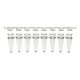 BioFlex 8-Strip PCR Tubes & 8-Strip Flat Caps, 0.2ml, Clear, PK125, CS1250