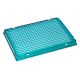 PermaFrame 384-Well Full-Skirt PCR Plate, A24, Clear Wells, Green, PK10