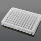 96 square deep well plate 0.5ml,v bottom，kingfisher flex, nuclease free, without cap, CS100