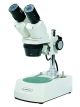 Stereo Microscope 1X/3X w/ LED Light EA 1