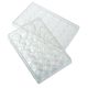 24 Well Tissue Culture Plate with Lid, Individual, Sterile, CS100