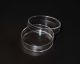 60mm x 15mm Tissue Culture Treated Dish, Sterile, CS500