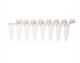 PCR 8-Strip Tubes, 0.2mL, Separable, Attached Flat Caps, Clear, CS120