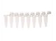 PCR 8-Strip Tubes, 0.2mL, Separable, Attached Dome Caps, Clear, CS120