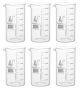 Beaker Tall form, with spout made of borosilicate glass, graduated, 600ml. PK of 6
