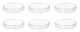 Petri Dish 125mm, moulded in Polypropylene Pack of 6