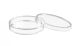 Petri Dish Disposable 60mm, moulded in Polystyrene