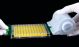 STARTER KIT RAYON NON-STERILE