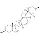 Cyclopamine, Hedgehog signaling inhibitor, 5mg, CAS# 4449-51-8