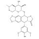 Etoposide, Topoisomerase II inhibitor, 100mg, CAS# 33419-42-0