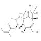 Ingenol-3-angelate, PKC activator, 5mg, CAS# 75567-37-2
