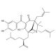 Garcinol, HAT inhibitor, 10mg, CAS# 78824-30-3