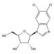 DRB, Transcription inhibitor, CK2 inhibitor,   10mg, CAS# 53-85-0