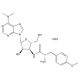 Puromycin_2HCl, Translation inhibitor, 250mg, CAS# 58-58-2