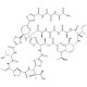 Thiostrepton, Antibiotic and FOXM1 inhibitor, 5g, CAS# 1393-48-2