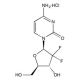 Gemcitabine HCl, DNA polymerase inhibitor, 10mg, CAS# 122111-03-9