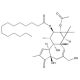 Phorbol 12-myristate-13-acetate, PKC activator, 1mg, CAS# 16561-29-8