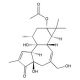 Prostratin, Promotes neuro-regeneration, 1mg, CAS# 60857-08-1