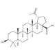 Betulinic Acid, Induces mitochondrial permeability pore opening, 10mg, CAS# 472-15-1