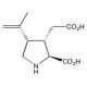 Kainic acid, Kainate receptor agonist; neurotoxin, 10mg, CAS# 487-79-6