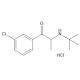 Bupropion_HCl, Monoamine transporter inhibitor, 250mg, CAS# 31677-93-7