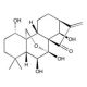 Oridonin, HSP70 inhibitor, 25mg, CAS# 28957-04-2