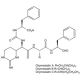 Chymostatin, Chymotrypsin-like serine protease inhibitor, 5mg, CAS# 9076-44-2