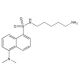 Dansylcadaverine, Autophagic vacuole dye, 250mg, CAS# 10121-91-2