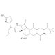 Cefcapene pivoxil, Antibiotic/Gasdermin D inhibitor, 20mg, CAS# 147816-24-8