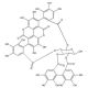 Punicalagin, Anti-inflammatory / antioxidant / anti-tumor agent, 5mg, CAS# 65995-63-3
