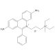 Propidium_Iodide, Fluorescent stain for dead/dying cells, 50mg, CAS# 25535-16-4