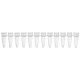 0.2mL 12-Strip Tubes, No Caps, Natural