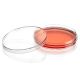 Diamond SureGro Cell Culture Dish, Tissue Culture Treated, 100 x 15mm with Gripping Ring, Sterile, 10/Bag, 500/Case