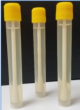 Swabcheck Ecoli 4ml 125/Pk