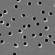 Filter, Disk, PETE, 8.0µ, 8X10In, 30/Pk