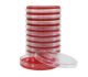 Blood Agar. 8%; HDx,15x100mm plt 100/bx R