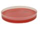 Brucella Agar w/H&K; HDx, 15x100mm plt 4/pk *