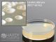 Sabdex Agar w/G & C; HDx, 15x60mm plate *  R