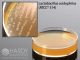Universal Beer Ag w/Cyclo; HDx, 15x60mm plate      R